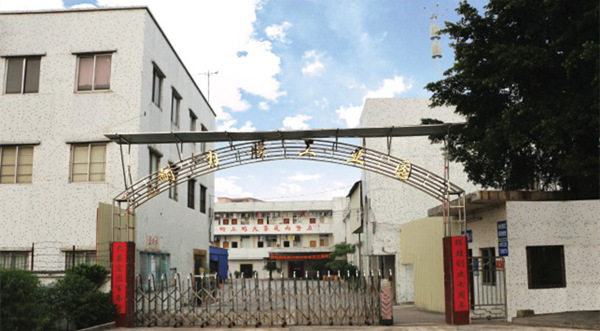 广州市耐力膜电子科技有限公司推行全面管理升级