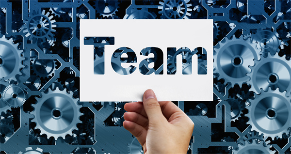 组织管理 组织管理