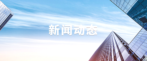 新闻动态 新闻动态
