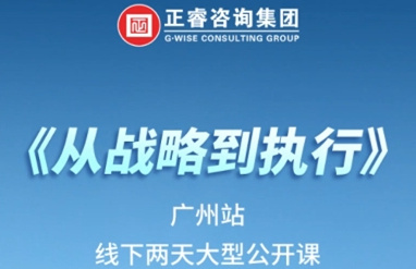 《欧陆注册咨询—从战略到执行》