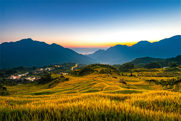 丽水组织规划咨询公司如何为企业构建高效组织架构？